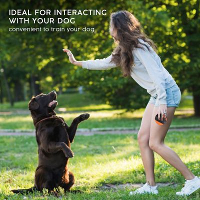 Image showing  Chew N Play Treat Dispensing Dog Toy, Interactive and Durable Puzzle Feeder for Pets