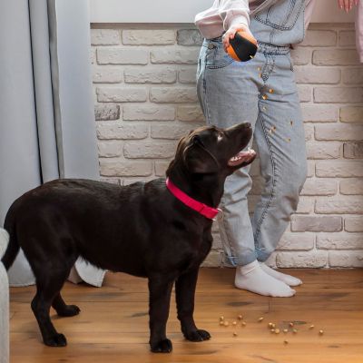 Image showing 5 th Pilot & Scout Chew N Play Treat Dispensing Dog Toy, Interactive and Durable Puzzle Feeder for Pets