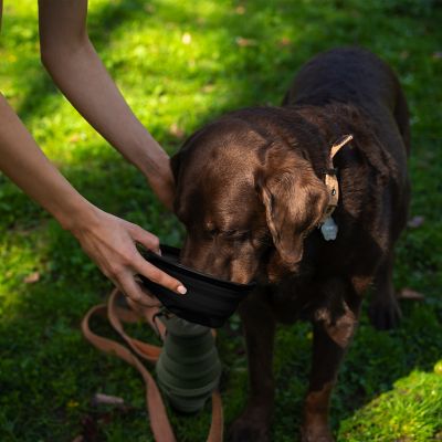 Image showing  Feed N Sip Collapsible Dog Bowl and Water Bottle, Portable Travel Feeding Solution for Pets