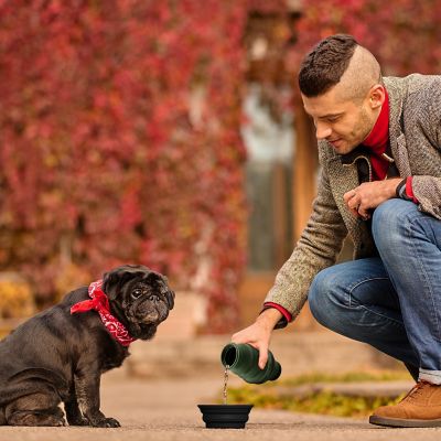 Image showing 5 th Pilot & Scout Feed N Sip Collapsible Dog Bowl and Water Bottle, Portable Travel Feeding Solution for Pets