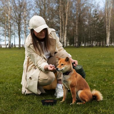 Image showing 6 th Pilot & Scout Feed N Sip Collapsible Dog Bowl and Water Bottle, Portable Travel Feeding Solution for Pets