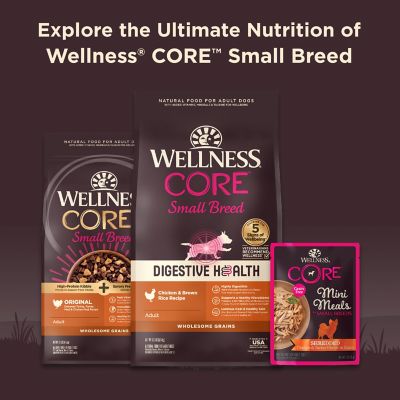Image showing 7 th Wellness CORE Natural Grain Free Small Breed Mini Meals Wet Dog Food, Pate Beef & Chicken Dinner, 3-Ounce Pouch
