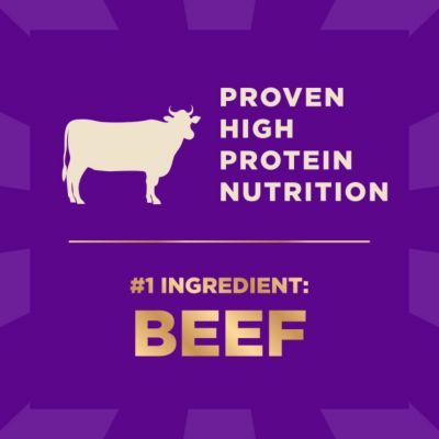 Image showing Wellness CORE+ Adult High-Protein Beef and Barley Recipe Dry Dog Food