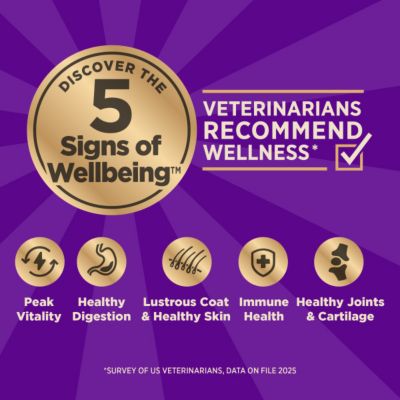 Image showing 5 th Wellness CORE+ Adult High-Protein Beef and Barley Recipe Dry Dog Food