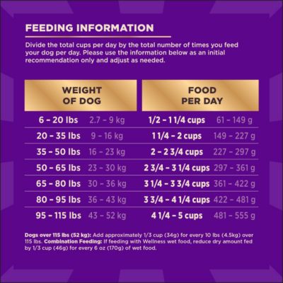 Image showing 8 th Wellness CORE+ Adult High-Protein Beef and Barley Recipe Dry Dog Food