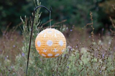Image showing  Soji Stella Print And Punch Globe Sunflower, Marigold