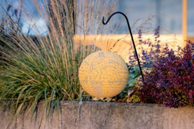 Image showing  Soji Stella Globe Monstera, Marigold