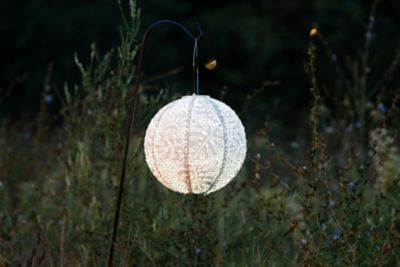 Image showing  Soji Stella Globe Monstera, Porcelain