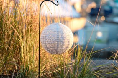 Image showing  Soji Stella Globe Monstera, Porcelain