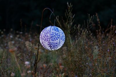 Image showing  Soji Stella Globe Monstera, Cornflower