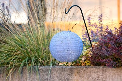 Image showing  Soji Stella Globe Monstera, Cornflower