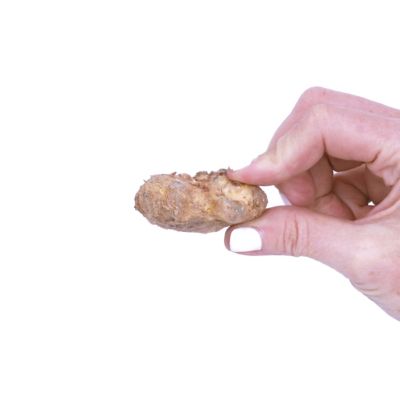 Image showing  Mixed Color Callas Plants, 5 pc. Bulbs