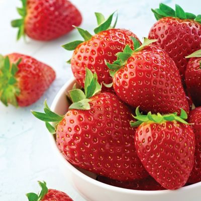 Image showing  Junebearing Strawberries Allstar, Set of 20 Roots