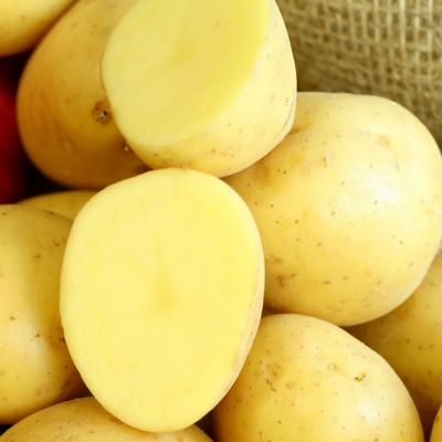 Image showing  Potatoes Gold Rush Russet, Set of 12