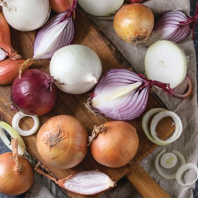 Image showing  Fresh Crop Onion Blend, Set of 250 Bulbs