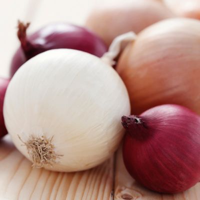 Image showing  Fresh Crop Onion Blend, Set of 250 Bulbs