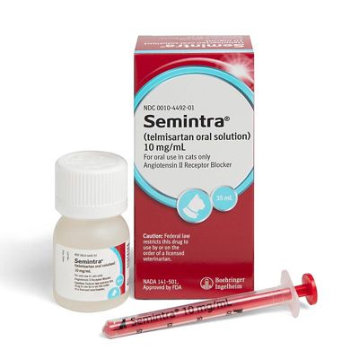 Image showing  (Telmisartan) Oral Solution, 10 mg/mL, 35 mL