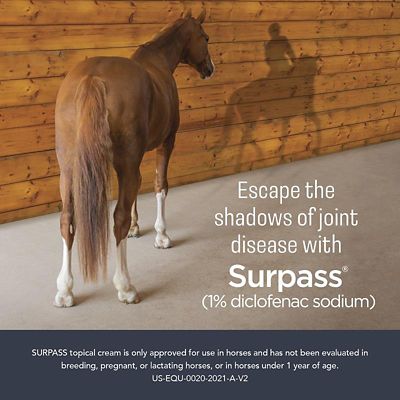 Image showing  (1% Diclofenac Sodium) Topical Anti-Inflammatory Cream for Horses, 124g