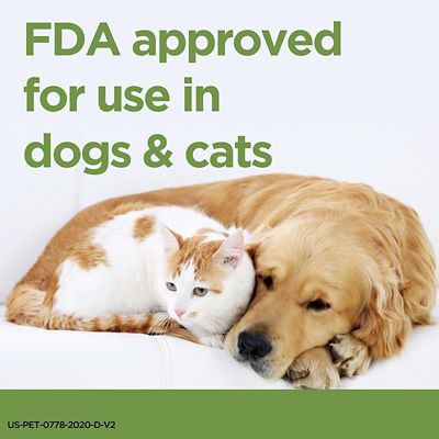 Image showing  Insulin for Dogs and Cats, 10 mL