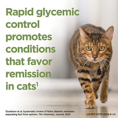 Image showing  Insulin for Dogs and Cats, 10 mL