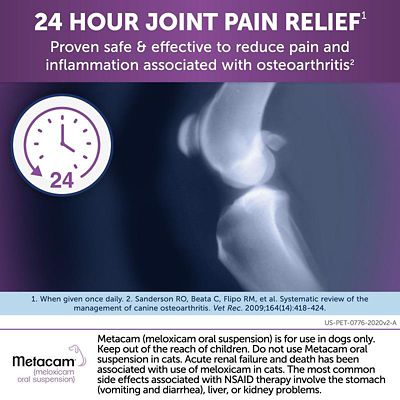 Image showing  (Meloxicam) Oral Suspension, 0.5 mg/mL
