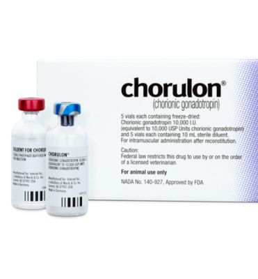 Image showing  HCG Injection, 10,000 IU, 10 mL