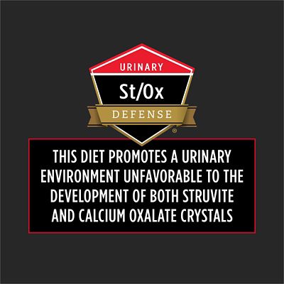 Image showing  Veterinary Diets Adult DM Dietetic Management Formula Dry Cat Food