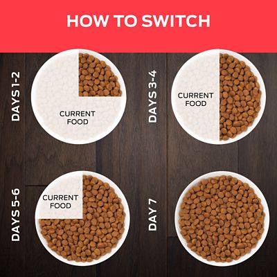 Image showing  Veterinary Diets Adult DM Dietetic Management Formula Dry Cat Food