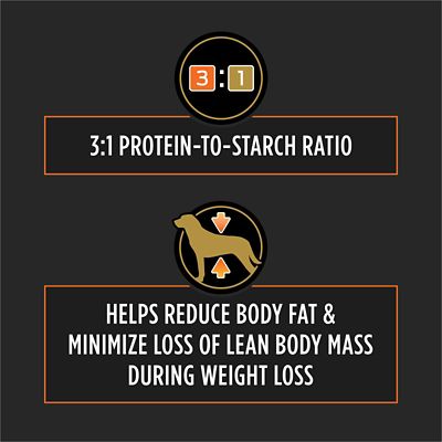 Image showing  Veterinary Diets OM Metabolic Response + Joint Mobility Canine Formula Dry Dog Food