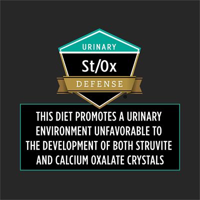 Image showing  Veterinary Diets EN Gastroenteric Feline Formula Dry Cat Food