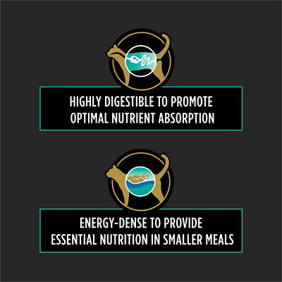 Image showing  Veterinary Diets EN Gastroenteric Feline Formula Wet Cat Food, 5.5 oz., Pack of 24 Cans