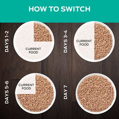 Image showing  Veterinary Diets EN Gastroenteric Feline Formula Wet Cat Food, 5.5 oz., Pack of 24 Cans