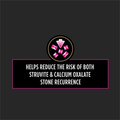 Image showing  Veterinary Diets Adult UR St/Ox Urinary Formula Dry Cat Food