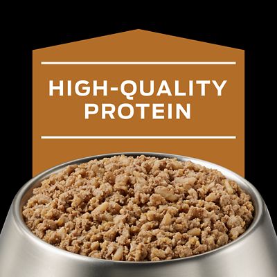 Image showing  Veterinary Diets Adult NF Kidney Function Formula Wet Dog Food, 13.3 oz., Pack of 12 Cans