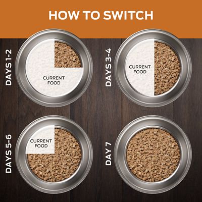 Image showing  Veterinary Diets Adult NF Kidney Function Formula Wet Dog Food, 13.3 oz., Pack of 12 Cans