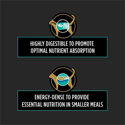 Image showing  Veterinary Diets EN Gastroenteric Feline Formula Dry Cat Food