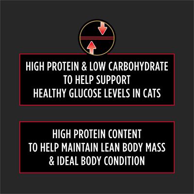 Image showing  Veterinary Diets Adult DM Dietetic Management Formula Dry Cat Food