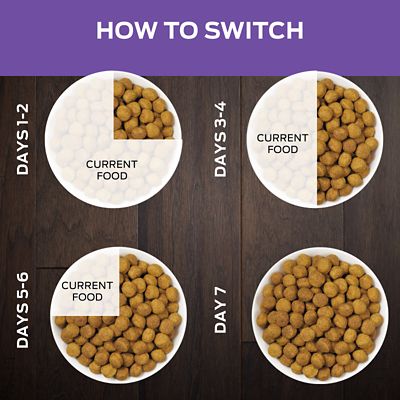 Image showing  Veterinary Diets Adult DH Dental Health Formula Dry Cat Food, 6 lb.