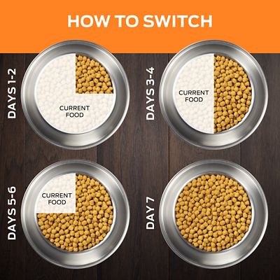 Image showing  Veterinary Diets Adult OM Overweight Management Formula Dry Dog Food