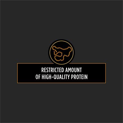 Image showing  Veterinary Diets Adult NF Kidney Function Formula Dry Dog Food