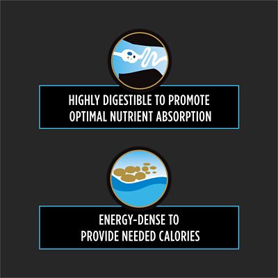 Image showing  Veterinary Diets CN Canine/Feline Formula Wet Food, 5.5 oz., Pack of 24 Cans