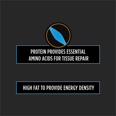 Image showing  Veterinary Diets CN Canine/Feline Formula Wet Food, 5.5 oz., Pack of 24 Cans