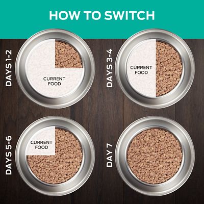 Image showing  Veterinary Diets EN Gastroenteric Canine Formula Wet Dog Food, 13.4 oz., Pack of 12 Cans