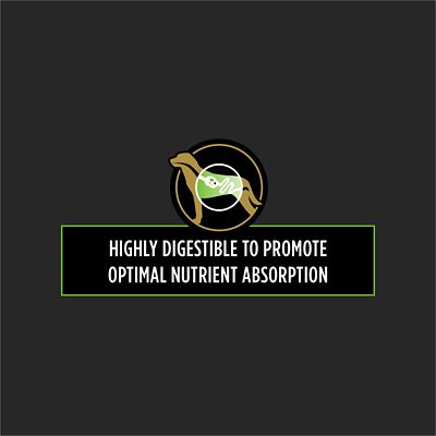 Image showing  Veterinary Diets HA Hydrolyzed Canine Formula Chicken Flavor Dry Dog Food