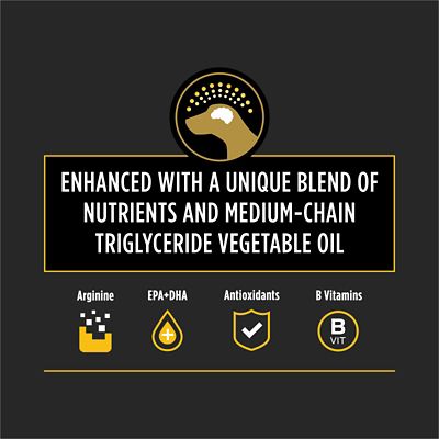 Image showing  Veterinary Diets NC NeuroCare Canine Formula Dry Dog Food