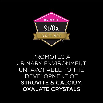 Image showing  Veterinary Diets Adult UR Savory Selects Urinary St/Ox Salmon Recipe Wet Cat Food, 5.5 oz., Pack of 24 Cans