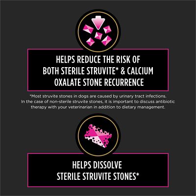 Image showing  Veterinary Diets Adult UR Urinary Ox/St Recipe Wet Dog Food, 13.3 oz., Pack of 12 Cans