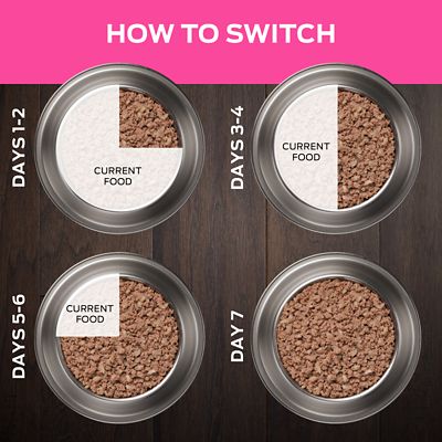 Image showing  Veterinary Diets Adult UR Urinary Ox/St Recipe Wet Dog Food, 13.3 oz., Pack of 12 Cans