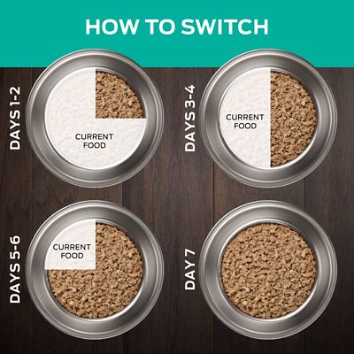 Image showing  Veterinary Diets EN Gastroenteric Naturals Canine Formula Wet Dog Food, 13.4 oz., Pack of 12 Cans