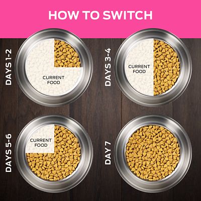 Image showing  Veterinary Diets Adult UR Urinary Ox/St Dry Dog Food